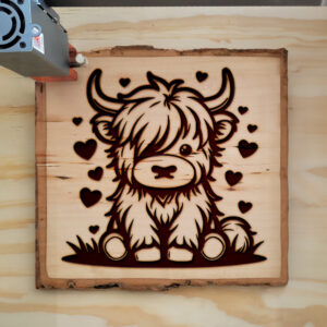 379646_wood-laser-1.jpg