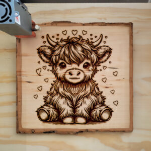 379648_wood-laser-1.jpg