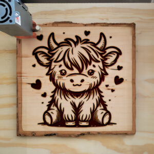 379651_wood-laser-1.jpg