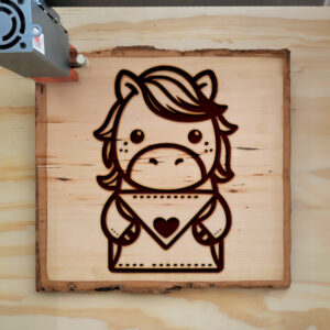 387357_wood-laser-1.jpg