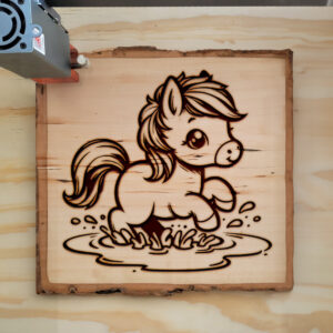 387484_wood-laser-1.jpg