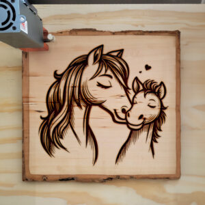 387591_wood-laser-1.jpg