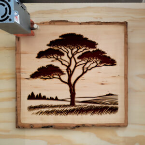 389643_wood-laser-1.jpg