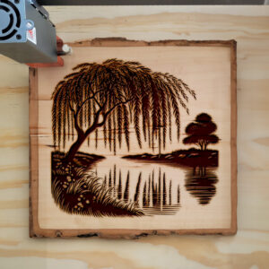 389691_wood-laser-1.jpg