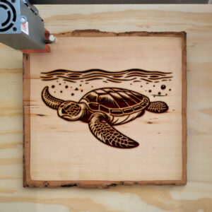 389720_wood-laser-1.jpg