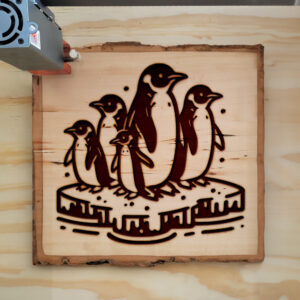389767_wood-laser-1.jpg