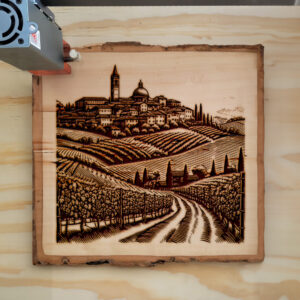 389790_wood-laser-1.jpg