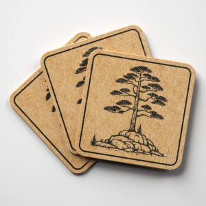 389796_coaster-1.jpg