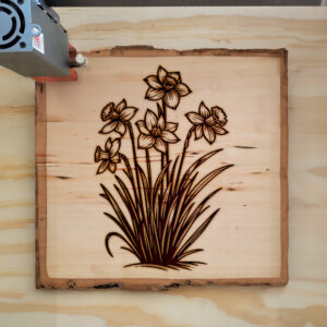 389830_wood-laser-1.jpg
