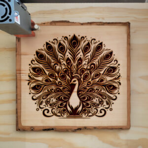 389849_wood-laser-1.jpg