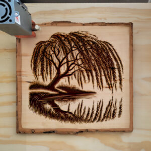 389878_wood-laser-1.jpg