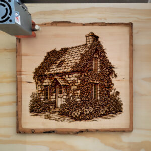389886_wood-laser-1.jpg