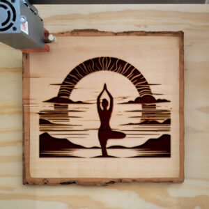 389894_wood-laser-1.jpg