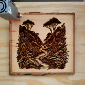 389926_wood-laser-1.jpg