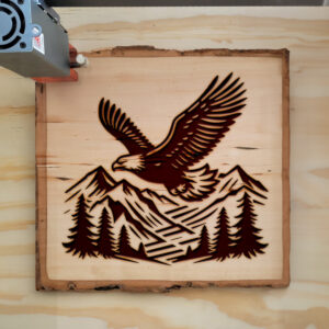 389929_wood-laser-1.jpg