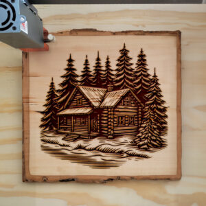 389988_wood-laser-1.jpg