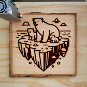 389996_wood-laser-1.jpg