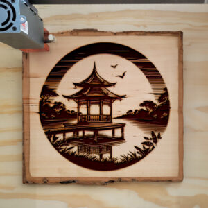 390006_wood-laser-1.jpg