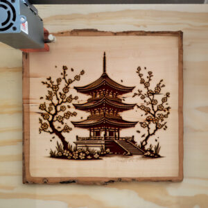 390025_wood-laser-1.jpg