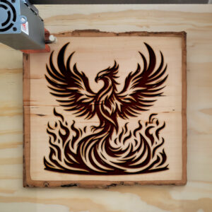 390029_wood-laser-1.jpg