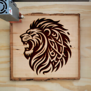 390031_wood-laser-1.jpg