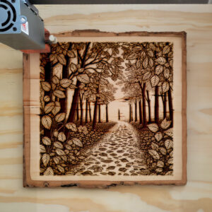 391032_wood-laser-1.jpg