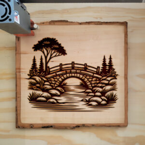 391046_wood-laser-1.jpg