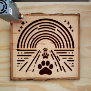 391062_wood-laser-1.jpg