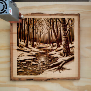 391090_wood-laser-1.jpg