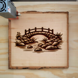 391094_wood-laser-1.jpg