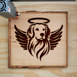 391100_wood-laser-1.jpg