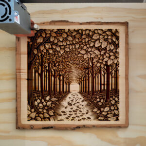391130_wood-laser-1.jpg
