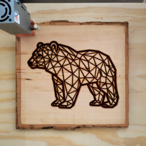 394940_wood-laser-1.jpg