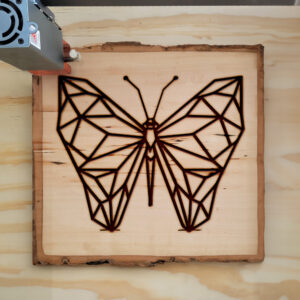 394962_wood-laser-1.jpg