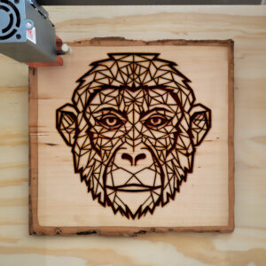 395003_wood-laser-1.jpg