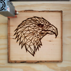 395054_wood-laser-1.jpg