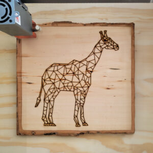 395091_wood-laser-1.jpg