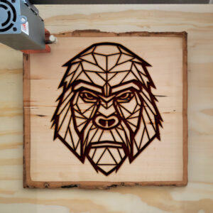 395105_wood-laser-1.jpg