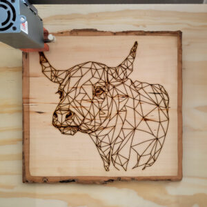 395202_wood-laser-1.jpg