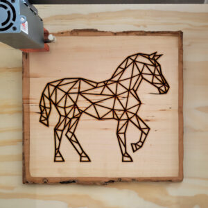395219_wood-laser-1.jpg
