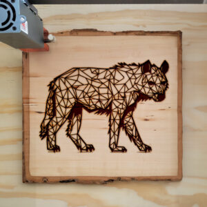 395248_wood-laser-1.jpg