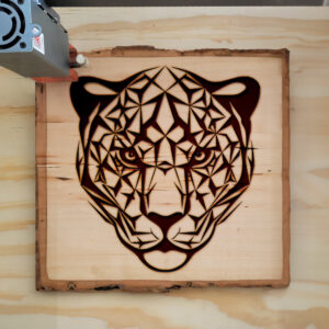395294_wood-laser-1.jpg