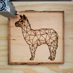 395343_wood-laser-1.jpg