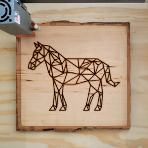 395360_wood-laser-1.jpg