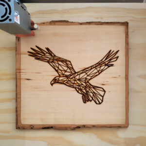 395370_wood-laser-1.jpg