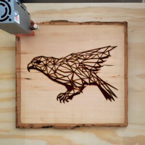 395373_wood-laser-1.jpg