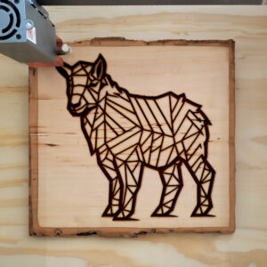 395437_wood-laser-1.jpg