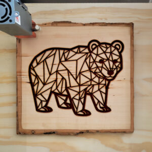 395443_wood-laser-1.jpg