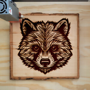 395462_wood-laser-1.jpg