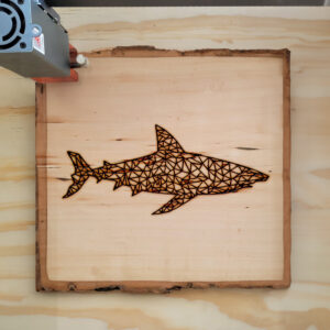 395489_wood-laser-1.jpg
